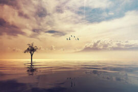 宽宏大度是褒义词吗？