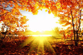 王巨星《太阳》歌词表达及评论赏析