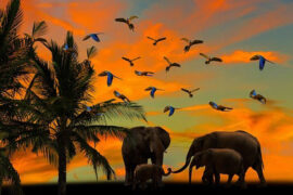 自力更生是褒义词吗？