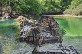 苏轼《水调歌头·黄州快哉亭赠张偓佺》全文及鉴赏