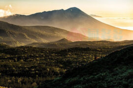 写景类佳句精选
