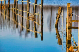 江珊《梦里水乡》歌词表达及评论赏析