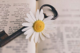 关联词大全-小学关联词造句大全