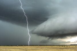 闷的多音字组词