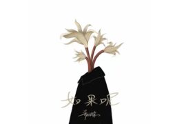 郑润泽《如果呢》歌词表达及评论赏析