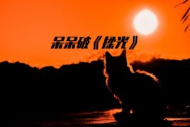 呆呆破《揉光》歌词封面图