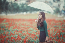 刘惜君《她带着蝴蝶》歌词表达及评论赏析