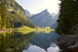 李玉刚《清明上河图》歌词表达及评论赏析