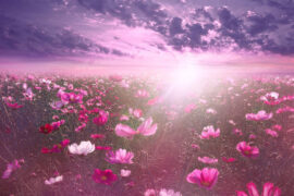 GALA《追梦赤子心》歌词及评论赏析