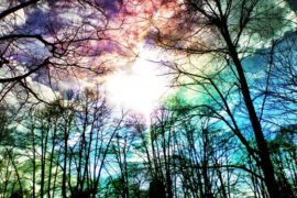 李白《春思》全文及鉴赏