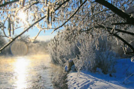 李白《短歌行》全文及鉴赏