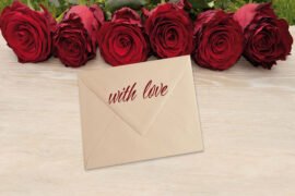 新裤子、大张伟《我们羞于表达的感情》歌词及评论赏析