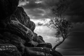 李白《蜀道难》全文及鉴赏