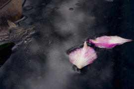 李白《闻王昌龄左迁龙标遥有此寄》全文及鉴赏