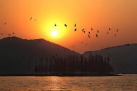 李白《宣州谢朓楼饯别校书叔云》全文及鉴赏