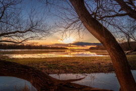 杜甫《垂老别》全文及鉴赏