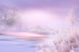 杜甫《江畔独步寻花七绝句》全文及鉴赏