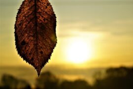 李白《长相思·其二》全文及鉴赏