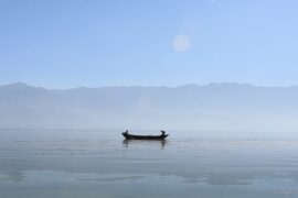 苏轼《临江仙·夜归临皋》全文及鉴赏