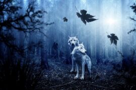 齐秦《狼》歌词及评论赏析