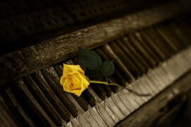 刘宇宁《你说爱情啊》歌词表达及评论赏析