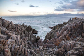 屈原《九歌·国殇》全文及鉴赏