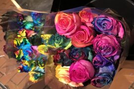 田震《风雨彩虹铿锵玫瑰》歌词表达及评论赏析