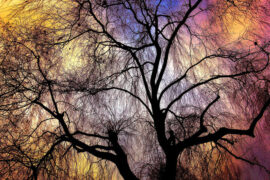 屈原《天问》全文及鉴赏