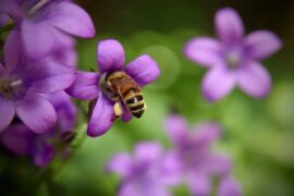 金玟岐《A Beautiful Smile》 (去有风的地方插曲)歌词及评论