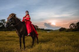 纳兰性德《眼儿媚·咏红姑娘》全文及鉴赏