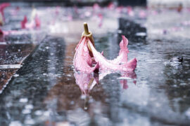 纳兰性德《忆秦娥·山重叠》全文及鉴赏