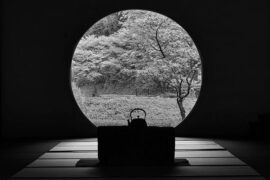 刘宇宁《熬夜》歌词及评论赏析