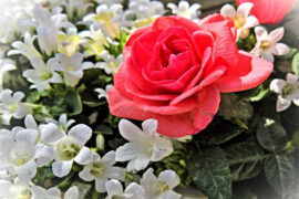 苏轼《江城子·墨云拖雨过西楼》全文及鉴赏