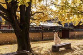 王天戈《心许百年》歌词表达及评论赏析