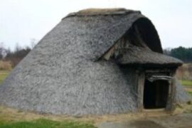 “囧”的原意是什么？网络热词”囧“字详解