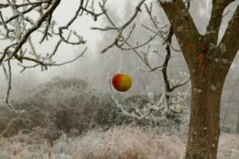 华晨宇《当全世界忘了我》歌词及评论赏析