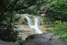 柳宗元《溪居》全文及鉴赏