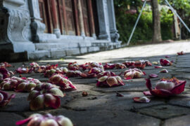 杜甫《自京赴奉先县咏怀五百字》全文及鉴赏