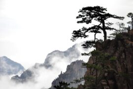 苏轼《南乡子·和杨元素时移守密州》全文及鉴赏