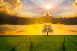 单依纯《让我随风》歌词及评论赏析