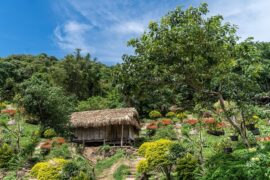 刘禹锡《陋室铭》全文及鉴赏