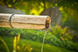 杜甫《戏为六绝句·其二》全文及鉴赏