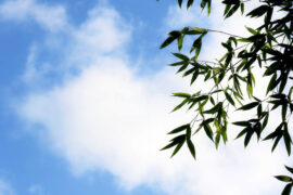 杜甫《咏怀古迹五首·其五》全文及鉴赏