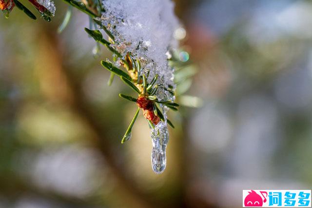 韩愈《春雪》全文及鉴赏