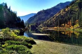 苏轼《临江仙·惠州改前韵》全文及鉴赏