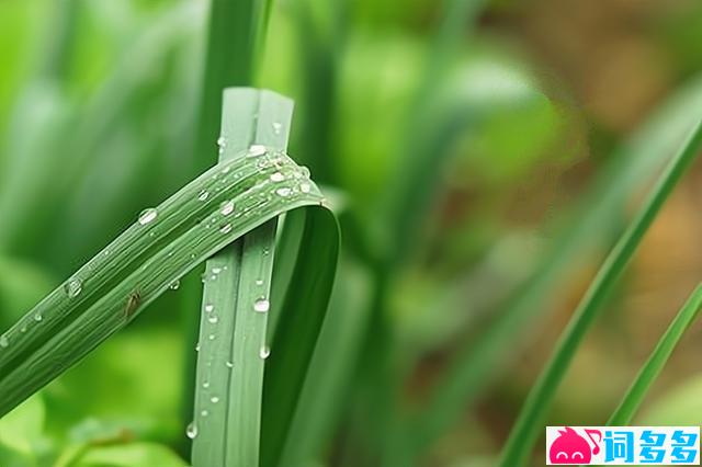 各地关于雨水节气的谚语和俗语-配图1