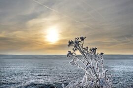 苏轼《少年游·润州作》全文及鉴赏