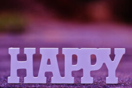 房东的猫《今天是星期几》歌词表达及评论赏析