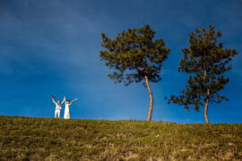 凤凰传奇《给给》歌词表达及评论赏析
