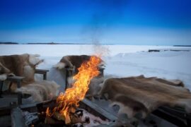 HITA《煨酒炉上雪》歌词表达及评论赏析